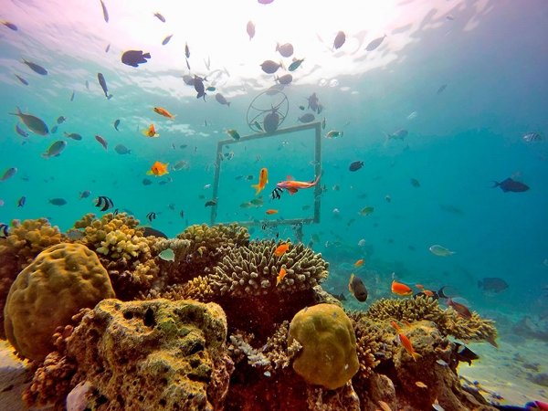 DIVING